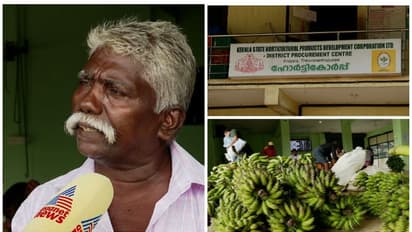 ഹോര്ട്ടികോര്പ്പിൽ നിന്ന് കിട്ടാനുള്ളത് 12 ലക്ഷം, മനംമടുത്ത് സംസ്ഥാന അവാർഡ് നേടിയ കർഷകൻ കൃഷി ഉപേക്ഷിക്കുന്നു