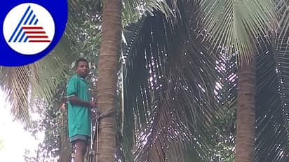 ಜಸ್ಟ್ ಕರೆ ಮಾಡಿ: ತೆಂಗು ಕೊಯ್ಯಲು 'ಪಿಂಗಾರ' ತಂಡ ರೆಡಿ!