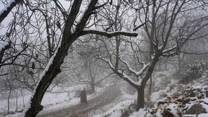 Weather Report: पश्चिम विक्षोभ के असर से सर्दी से मिली राहत, लेकिन जल्द गिरेगा टेम्परेचर, IMD का अलर्ट पढ़ें