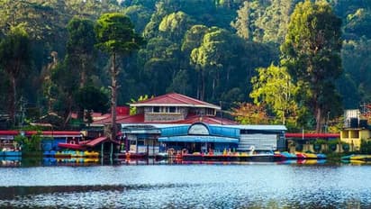 Kodaikanal : கொடைக்கானலில் கட்டாயம் செல்ல வேண்டிய 10 இடங்கள் - அதன் சிறப்பம்சங்கள் இதோ !!