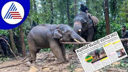 Chikkamagaluru News: ಕಾಫಿನಾಡಿಗೆ ಕಹಿ​ಯನ್ನೇ ಉಣಿ​ಸಿದ 2022