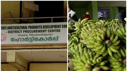 ജീവനക്കാരുടെ ബാഹുല്യം; കര്ഷകര് പണം കിട്ടാതെ വലയുമ്പോൾ നഷ്ടക്കണക്കുമായി ഹോര്ട്ടികോർപ്പ്