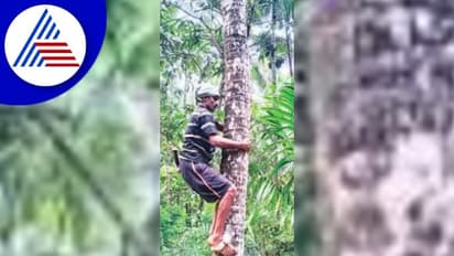 Uttara Kannada News: ವರ್ಷದ ಹಿನ್ನೋಟ; ಭತ್ತ ಆಪೋಶನ ಪಡೆದ ಅಡಕೆ