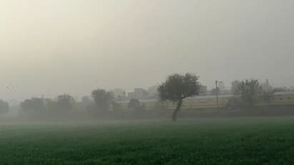 राजस्थान में कहर बरपाएगी ठंड, नए साल के साथ ही शीतलहर की होगी शुरुआत,10 जिलों में अलर्ट जारी