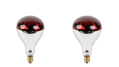 गजब ! ठंड को चुटकियों में खत्म कर देता है यह Bulb, हीटर की नहीं पड़ेगी जरूरत