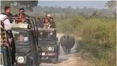 സഞ്ചാരികളുടെ വാഹനത്തിന് പുറകെ ഓടി കാണ്ടാമൃഗം; ഒരു വൈറല്‍ വീഡിയോ