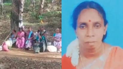 ഭര്ത്താവിന്റെ മുന്നില് വച്ച് യുവതിയെ കാട്ടാന ചവിട്ടിക്കൊന്നു