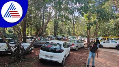 Bhadra Wildlife Sanctuary: ಭದ್ರಾ ಅಭಯಾರಣ್ಯದಲ್ಲಿ ಪ್ರವಾಸಿಗರ ದಟ್ಟಣೆ ತಡೆಯಿರಿ