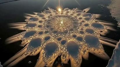 ഇതാണ് പ്രകൃതിയുടെ 'ഐസ് ഫ്ലവര്‍'; വൈറലായി മനോഹര ചിത്രം