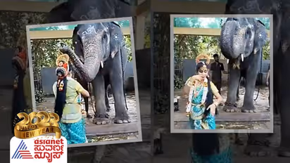 Viral Video: ನೃತ್ಯ ಮಾಡಿದ ಬಾಲಕಿಯ ತಲೆ ಮೇಲೆ ಸೊಂಡಿಲಿಟ್ಟು ಆಶೀರ್ವದಿಸಿದ ಆನೆ