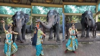 நடனம் ஆடிய பெண்ணை ஆசிர்வதிக்கும் வீடியோ… ஆனந்த் மஹிந்திரா பகிர்ந்த வீடியோ வைரல்!!