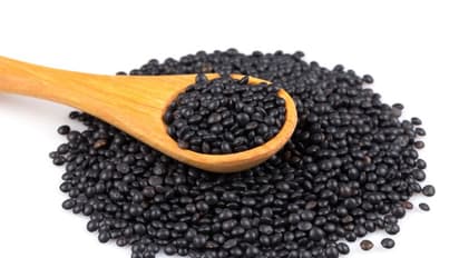 கருப்பு உளுந்தம் பருப்பில் இவ்வளவு நன்மைகள் இருக்கா! அதுவும் பெண்களுக்கு அருமருந்தாம்!!