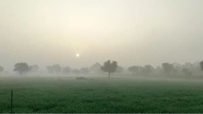 राजस्थान वेदर अपडेटः प्रदेश में 5 दिन कड़ाके की सर्दी, 25 किमी स्पीड से चलेगी शीतलहर, 12 जिलों में अलर्ट जारी