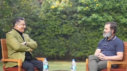 'China's approach to India same as Russia's to Ukraine': Rahul Gandhi on Tawang clash