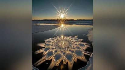 ഇതാണോ ആ 'മഞ്ഞില് വിരിഞ്ഞ പൂവ്?'