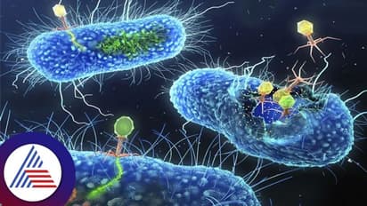 ಮತ್ತೊಂದು ಡೇಂಜರಸ್ ವೈರಸ್, 2023ರಲ್ಲಿ ಕಂಟಕವಾಗುತ್ತಾ ಈ ಸೂಪರ್ ಬಗ್ ?