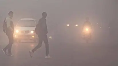 2022 से ज्यादा सर्द होगा साल 2023, राजस्थान में छाया घना कोहरा, जमाव बिंदु के नीचे पहुंचा पारा