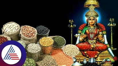 Vastu Tips: ಆಹಾರ ಧಾನ್ಯ ತುಂಬಿರಬೇಕೆಂದ್ರೆ ಅನ್ನಪೂರ್ಣೆ ಕೃಪೆ ಬೇಕು