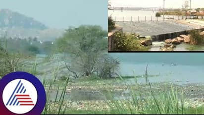 Chitradurga: ಮಲ್ಲಾಪುರ ಕೆರೆಗೆ ಚಿತ್ರದುರ್ಗದ ಯುಜಿಡಿ ನೀರು ಸೇರ್ಪಡೆ: ಸುತ್ತಲಿನ ಗ್ರಾಮಗಳಲ್ಲಿ ರೋಗ ಉಲ್ಬಣ