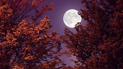 Vaishakh Purnima 2023 ದಿನಾಂಕ, ಮಹತ್ವ, ಪೂಜಾ ವಿಧಾನ, ವ್ರತಕತೆ..