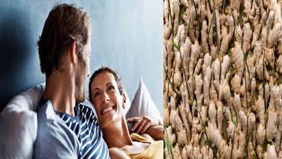 सेक्स लाइफ समेत वजन भी बढ़ती उम्र में रहेगा कंट्रोल, बस हर रोज किचन में मौजूद इस जड़ का करें पुरुष सेवन