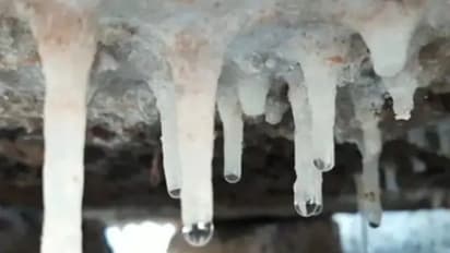 राजस्थान में गलनभरी ठंड: हाथ-पैर पड़ने लगे सुन्न, छा गया बर्फ का पर्दा...बाहर जाने से पहले देख लें ये तस्वीरें