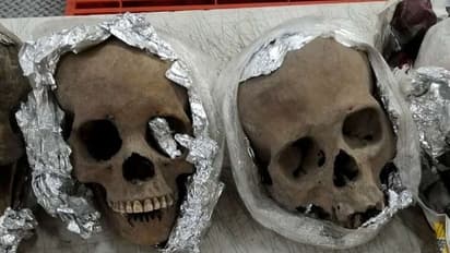 ఛీ.. శవపేటికలు తెరిచి.. పుర్రెలు, ఎముకలకు ముద్దులు... లైవ్ స్ట్రీమర్ కు జైలు శిక్ష..