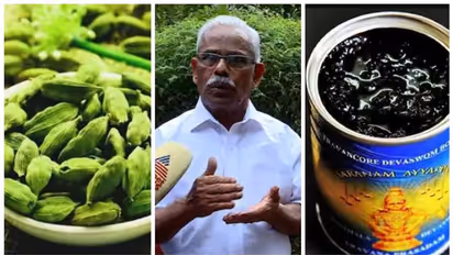 അരവണ പ്രസാദത്തിലെ ഏലയ്ക്കയിൽ കീടനാശിനിയുടെ അംശമെന്ന റിപ്പോർട്ട്; ആശങ്ക വേണ്ടെന്ന് ദേവസ്വം ബോർഡ് പ്രസിഡൻ്റ്