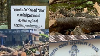 സ്കൂൾ മുറ്റത്തെ അഞ്ച് തണൽ മരങ്ങൾ മുറിച്ച് നീക്കി: മാനേജ്മെൻ്റിനെതിരെ പ്രതിഷേധവുമായി വിദ്യാർത്ഥികൾ 
