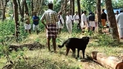 കൊല്ലത്ത് വടിവാളും വളർത്തുനായയുമായി യുവാവിന്‍റെ അക്രമം; പ്രതിയെ പിടികൂടാനാകാതെ പൊലീസ്