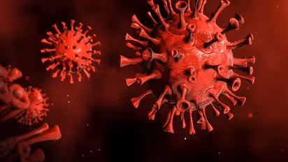India records 5,335 fresh COVID-19 cases in last 24 hours, highest since September-end