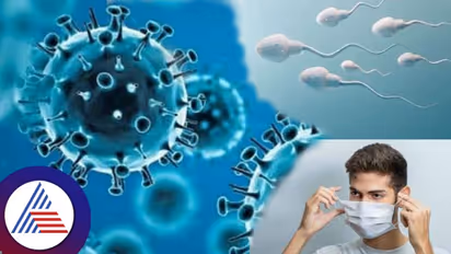 Corona Virus: ಕೊರೋನಾ ಸೋಂಕು ಬಂದಿತ್ತಾ ? ಹಾಗಾದ್ರೆ ಮಕ್ಕಳಾಗೋದು ಕಷ್ಟ ಬಿಡಿ !