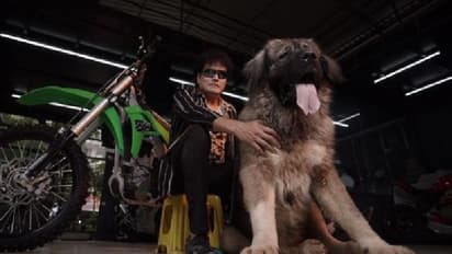 ವಿಶ್ವದ ಅತೀ ದುಬಾರಿ ಶ್ವಾನ ಖರೀದಿಸಿದ ಬೆಂಗಳೂರಿನ ವ್ಯಕ್ತಿ: ಬೆಲೆ ಕೇಳಿದ್ರೆ ತಲೆ ತಿರುಗೋದು ಗ್ಯಾರಂಟಿ