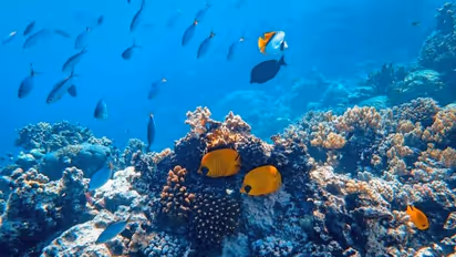 Samudrayaan to take Indian aquanauts 500 metres under sea in 2023