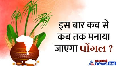 Pongal 2023: 1 नहीं 4 दिनों तक मनाया जाता है पोंगल, जानें किस दिन क्या होता है? 