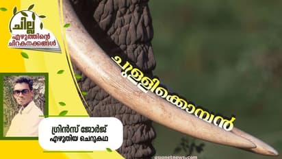 Malayalam Short Story : ചുള്ളിക്കൊമ്പന്, ഗ്രിന്സ് ജോര്ജ് എഴുതിയ ചെറുകഥ