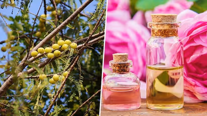 3 Ayurvedic hair remedies beneficial for your hair immunity