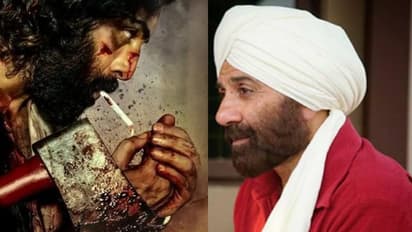 സണ്ണി ഡിയോളും രണ്‍ബിര്‍ കപൂറും ഏറ്റുമുട്ടാൻ ഒരുങ്ങുന്നു, 'ഗദാര്‍ 2'വിന്റെ റിലീസ് തീരുമാനിച്ചു