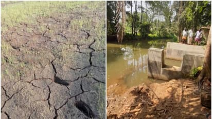 ജലസേചന പദ്ധതിയുടെ പ്രവര്ത്തനം തടഞ്ഞു; വെള്ളം മുടങ്ങി, ചെന്നിത്തലയില് 250 ഏക്കര് നെല്ക്കൃഷി പ്രതിസന്ധിയില്