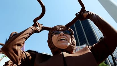 क्या है कॉकरोच स्टार्टअप और क्यों पड़ा ये नाम, ये भी जान लीजिए कॉकरोच से क्या है इसकी समानता