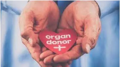 Telangana tops list of states in India for organ donation in 2023, women dominate as live donors