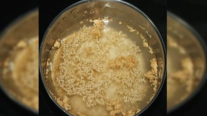 ಅಡುಗೆ ಮಾಡುವ ಮೊದಲು ಇದನ್ನೆಲ್ಲಾ ನೆನೆಸಿಯೇ ತಿನ್ನಿ, ಆಮೇಲೆ ನೋಡಿ ಮ್ಯಾಜಿಕ್