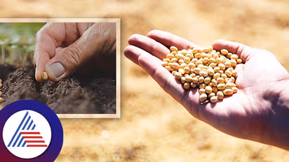 Business Idea: ಹತ್ತನೆ ಕ್ಲಾಸ್ ಪಾಸ್ ಆದ್ರೂ ಸಾಕು, ಹಳ್ಳಿಯಲ್ಲಿ ಶುರು ಮಾಡಿ ಈ ಬ್ಯುಸಿನೆಸ್