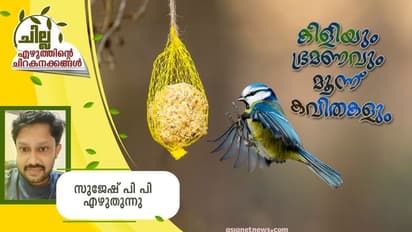 Malayalam Poems : കിളിയും ഭ്രമണവും മൂന്ന് കവിതകളും