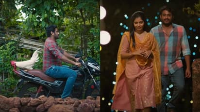 വില്ലനായി ഒരു പൂവന്കോഴി; ആന്റണി വര്ഗീസിന്റെ 'പൂവന്' ട്രെയ്ലര്