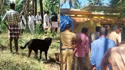 വടിവാളും നായയുമായി അക്രമം: ട്രെയിനർമാരുടെ സഹായത്തോടെ നായയെ മാറ്റി, പ്രതിയുടെ വീട്ടിൽ കടന്ന് പൊലീസ്