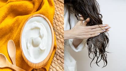 हफ्ते में एक दिन दही लगाने के जब जानेंगे 4 फायदे, तो खुद को नहीं कर पाएंगे कंट्रोल