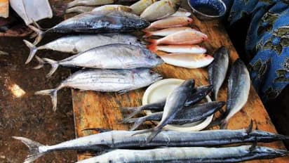 கன்னியாகுமரியில் வரத்து குறைவால் மீன்கள் விலை கடும் உயர்வு