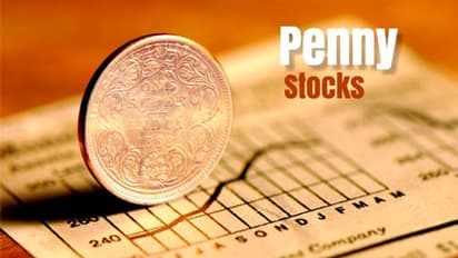 ഒരു ലക്ഷം ഒറ്റവർഷംകൊണ്ട് 52 ലക്ഷം; ഈ മള്‍ട്ടിബാഗര്‍ പെന്നി ഓഹരിയില്‍ കുതിപ്പ് തുടരുമോ?