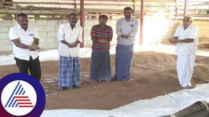 ಚಿಕ್ಕಮಗಳೂರು: ರಾಗಿ ರೈತರಿಗೆ ವರ್ತಕರು, ಅಧಿಕಾರಿಗಳಿಂದ ಧೋಖಾ...?